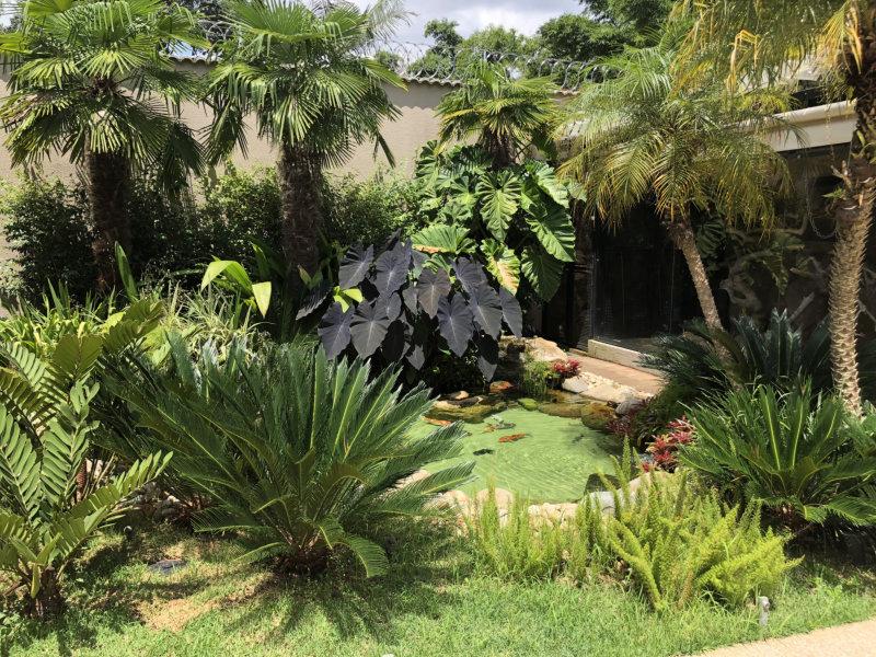 A primavera das folhas